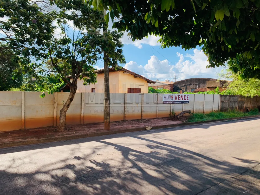 Comprar Terrenos / Padr&atilde;o em Ol&iacute;mpia R$ 1.000.000,00 - Foto 3