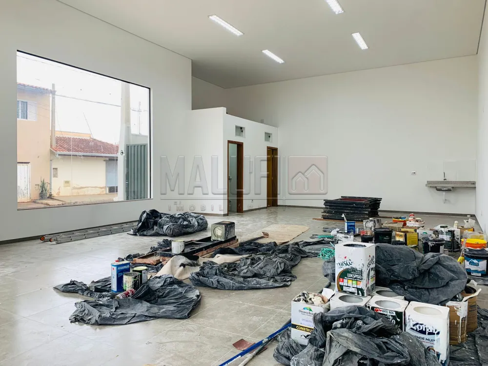 Alugar Comerciais / Barrac&atilde;o em Ol&iacute;mpia R$ 4.000,00 - Foto 1