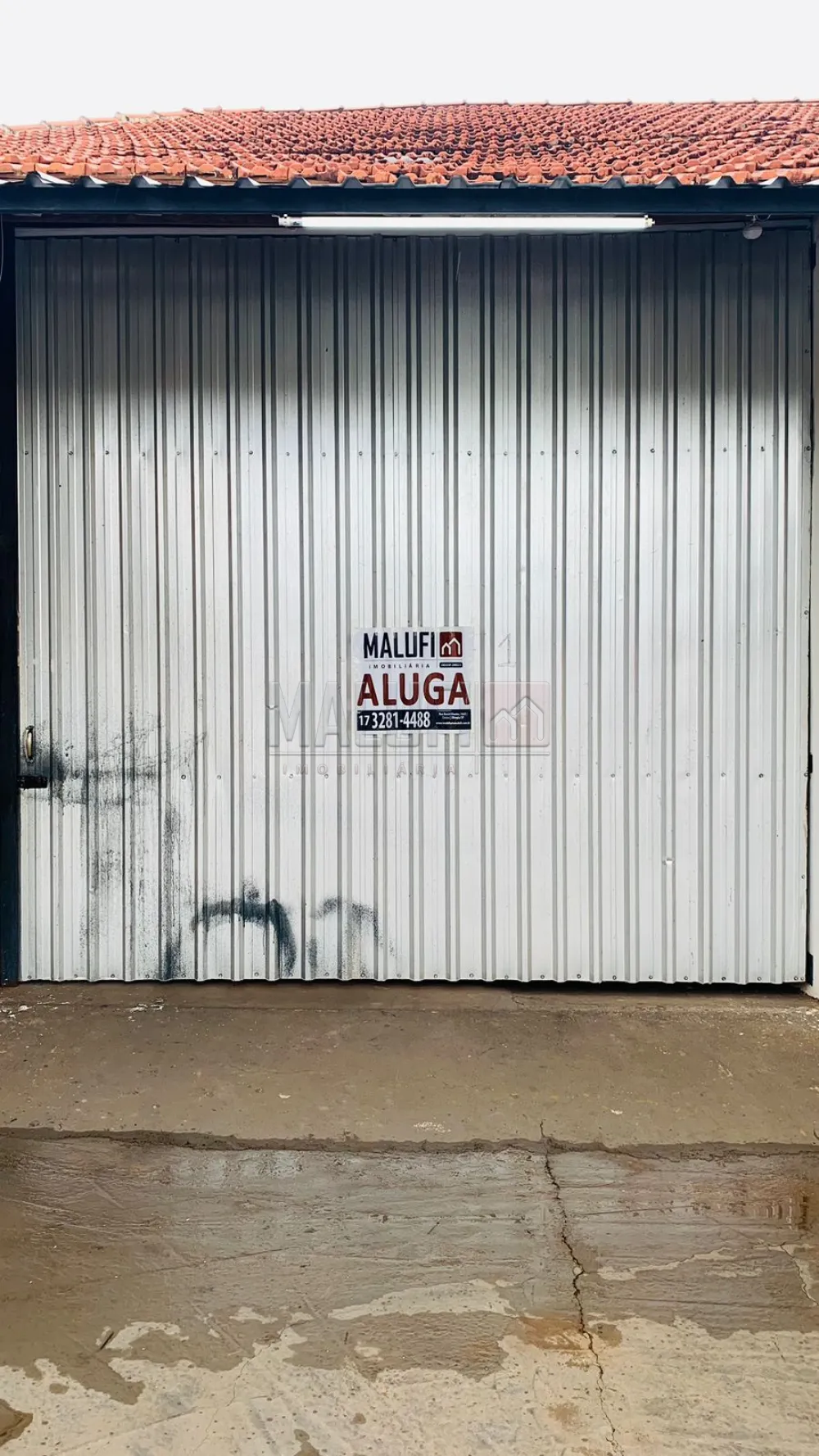 Alugar Comerciais / Pr&eacute;dio Comercial em Ol&iacute;mpia R$ 12.000,00 - Foto 5