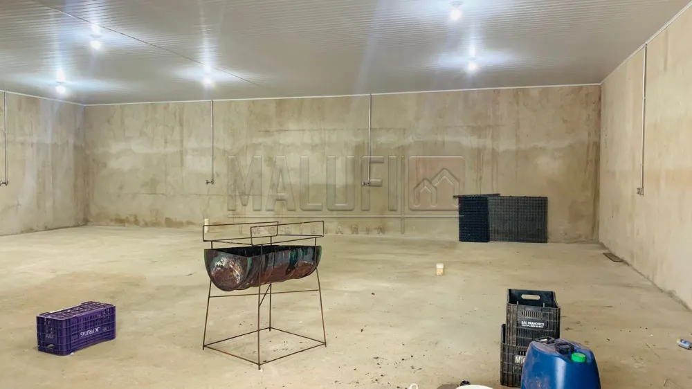 Alugar Comerciais / Pr&eacute;dio Comercial em Ol&iacute;mpia R$ 12.000,00 - Foto 10