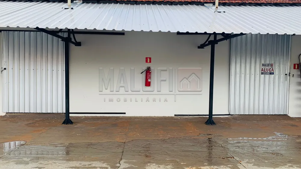 Alugar Comerciais / Pr&eacute;dio Comercial em Ol&iacute;mpia R$ 12.000,00 - Foto 9