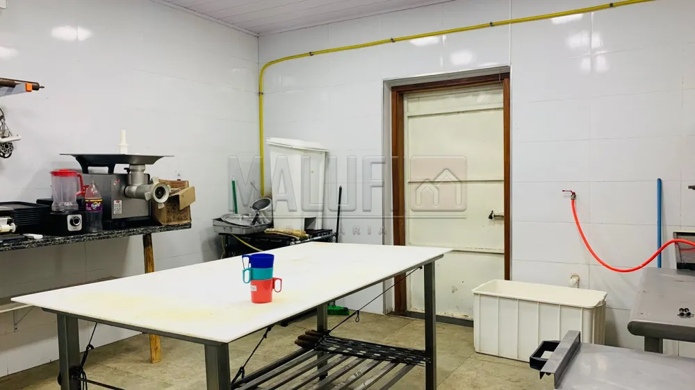 Alugar Comerciais / Pr&eacute;dio Comercial em Ol&iacute;mpia R$ 12.000,00 - Foto 22