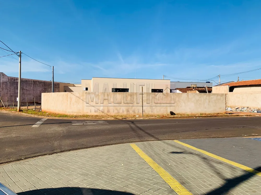 Alugar Comerciais / Terreno em Ol&iacute;mpia R$ 2.800,00 - Foto 1