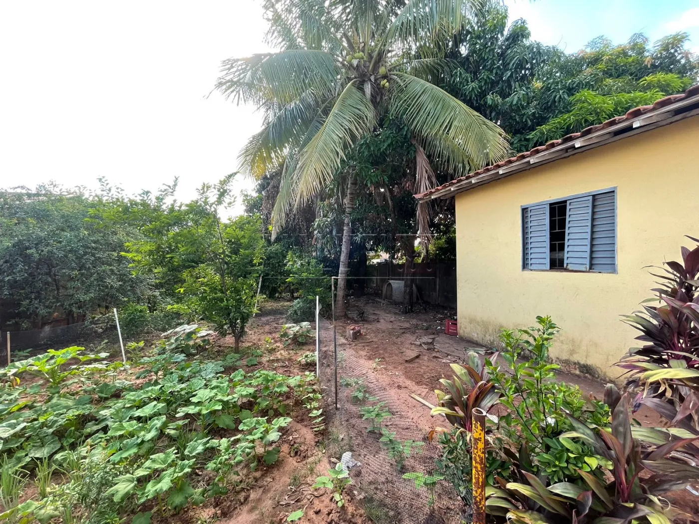 Comprar Casas / Padr&atilde;o em Ol&iacute;mpia R$ 250.000,00 - Foto 9