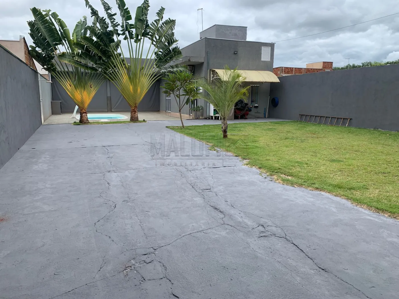 Alugar Casas / Padr&atilde;o em Ol&iacute;mpia R$ 2.800,00 - Foto 1