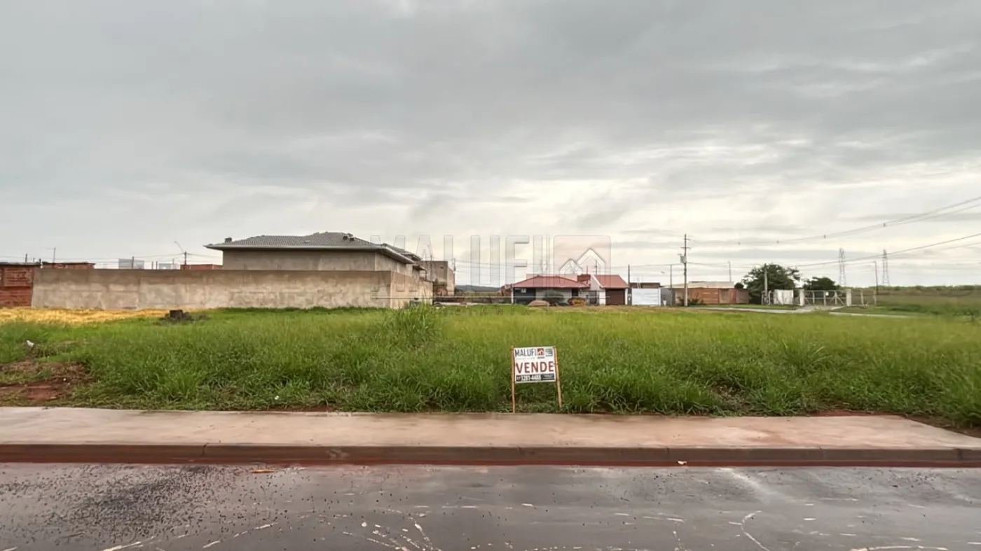 Comprar Terrenos / Padr&atilde;o em Ol&iacute;mpia R$ 155.000,00 - Foto 1