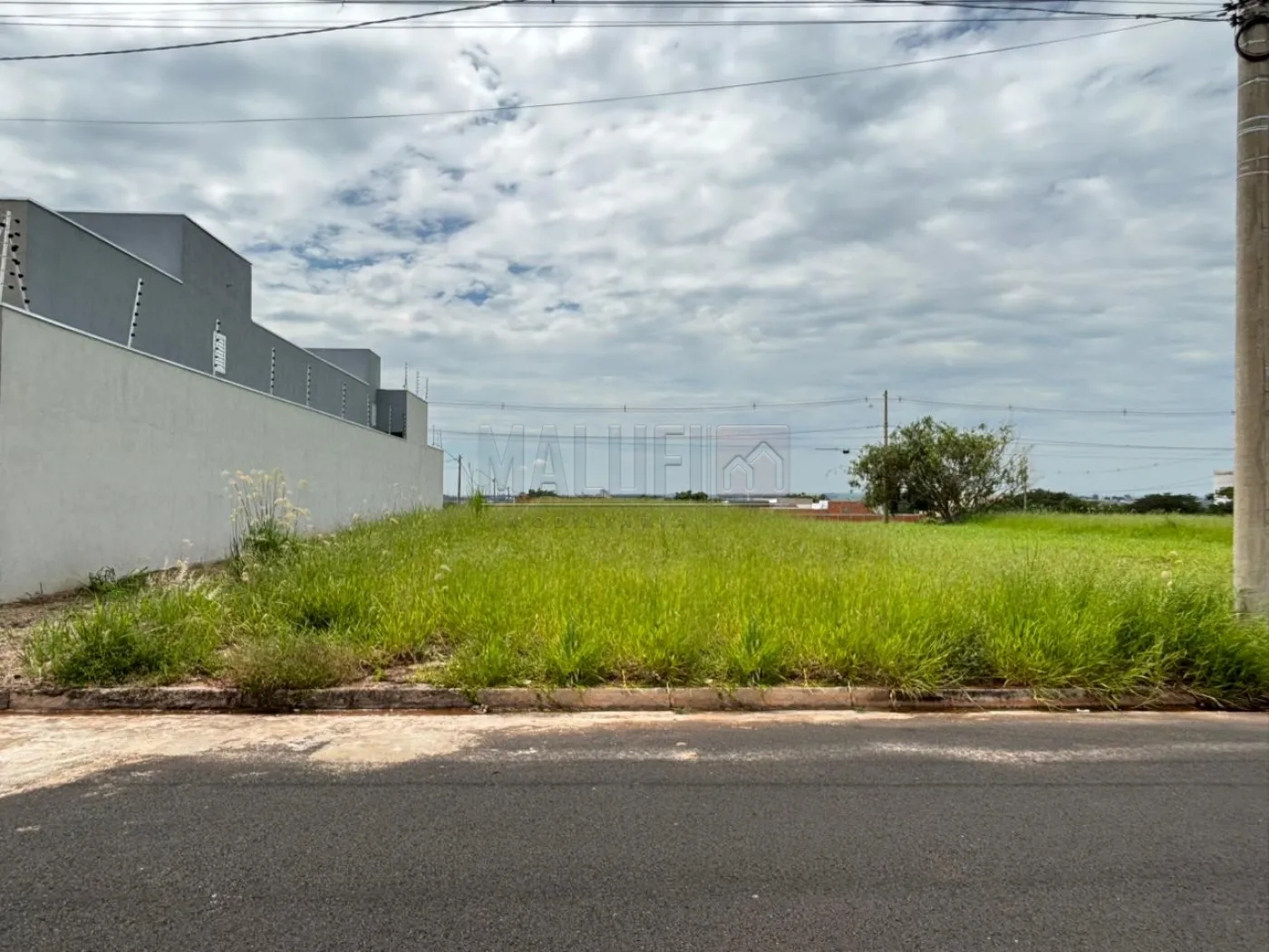 Comprar Terrenos / Padr&atilde;o em Ol&iacute;mpia R$ 220.000,00 - Foto 1