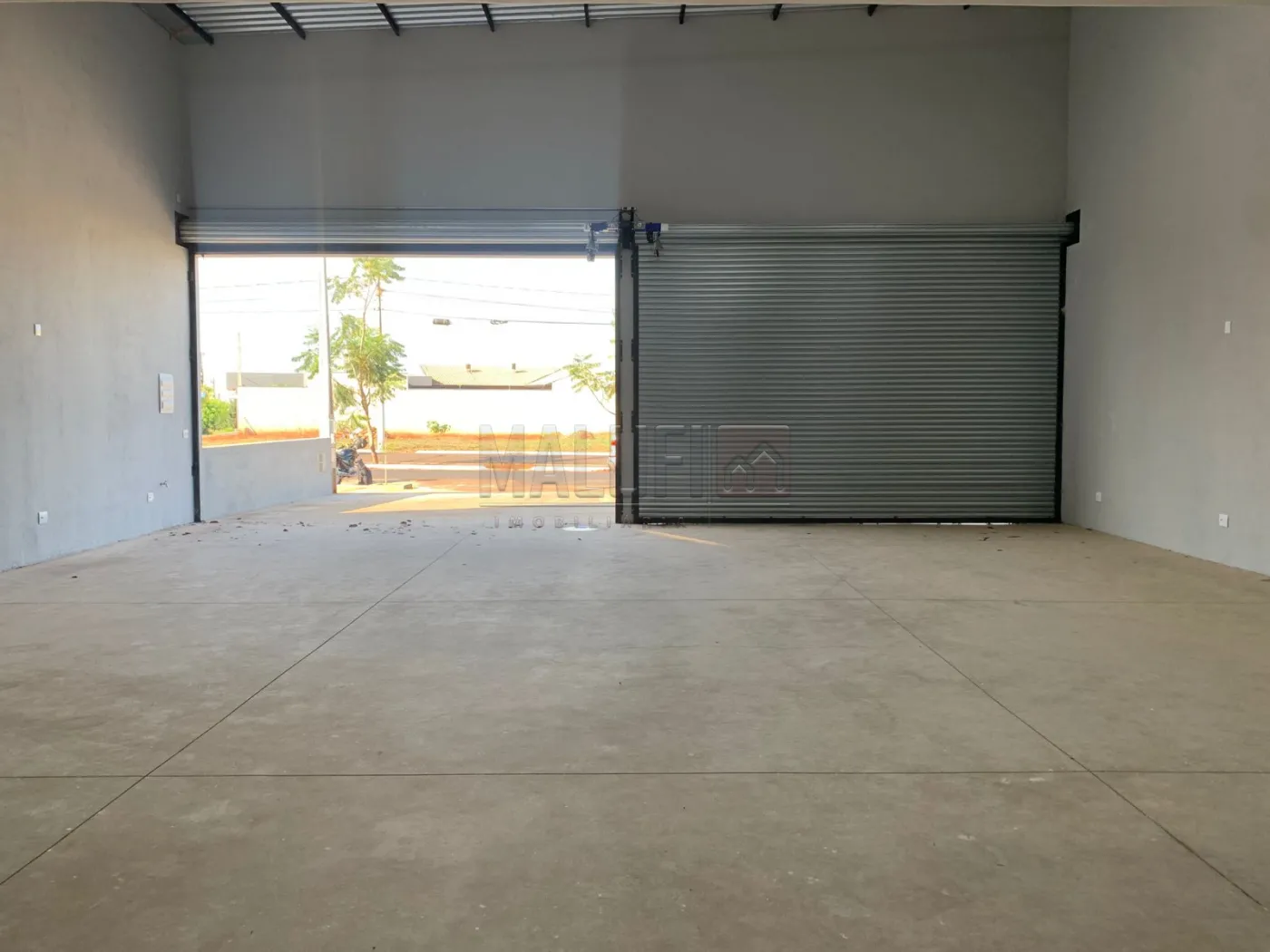 Alugar Comerciais / Barrac&atilde;o em Ol&iacute;mpia R$ 7.000,00 - Foto 2