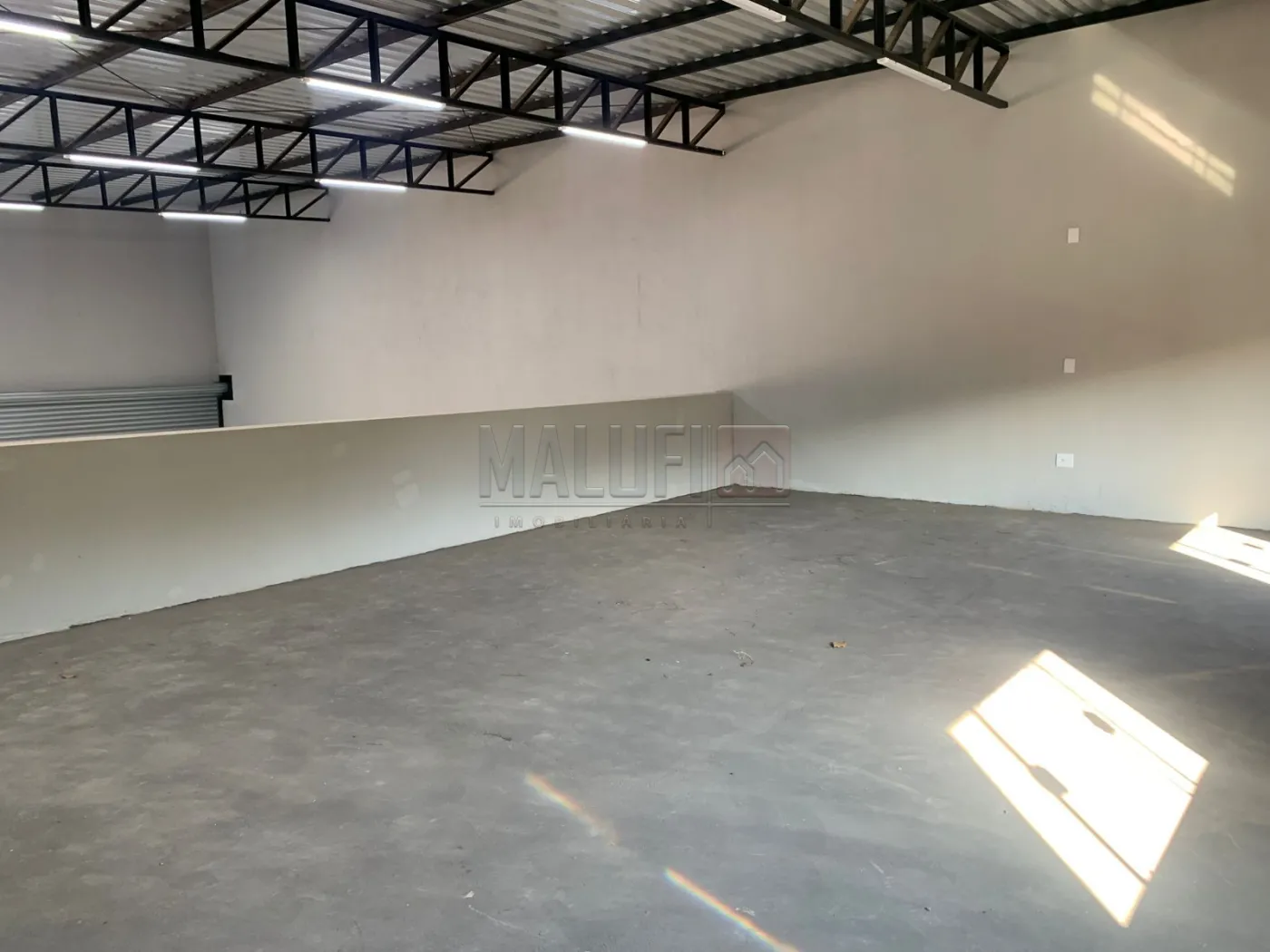 Alugar Comerciais / Barrac&atilde;o em Ol&iacute;mpia R$ 7.000,00 - Foto 12