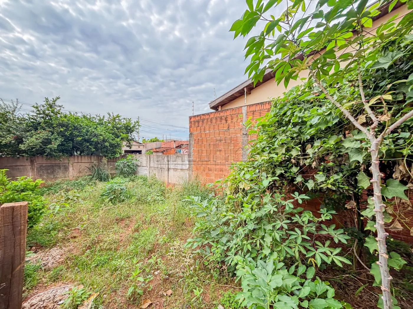 Comprar Casas / Padr&atilde;o em Ol&iacute;mpia R$ 230.000,00 - Foto 15