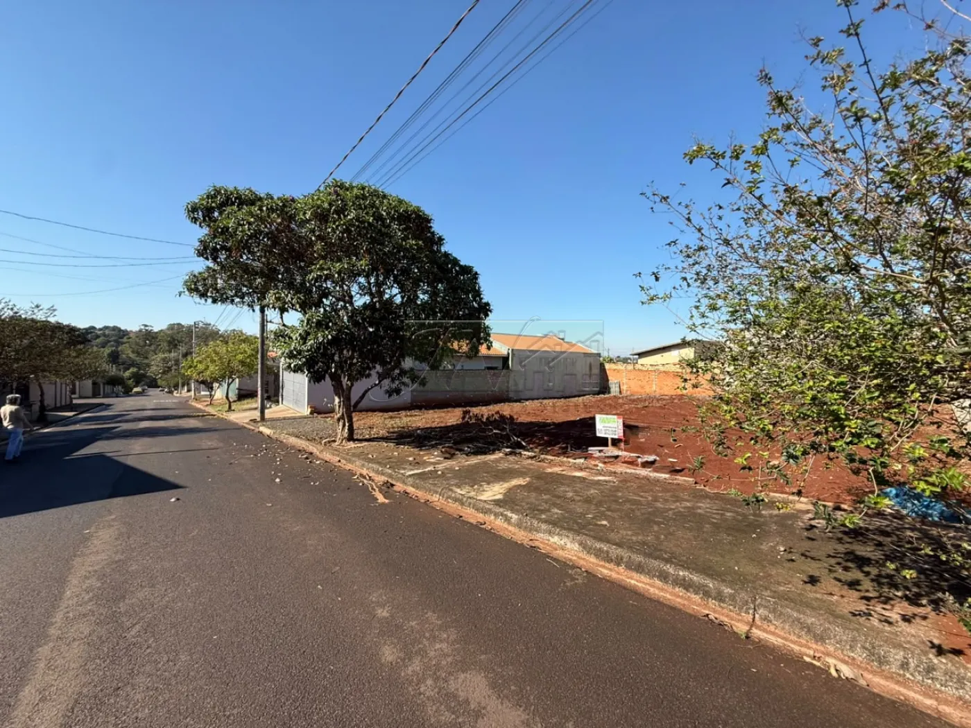 Comprar Terrenos / Lote em Santa Cruz do Rio Pardo R$ 130.000,00 - Foto 3