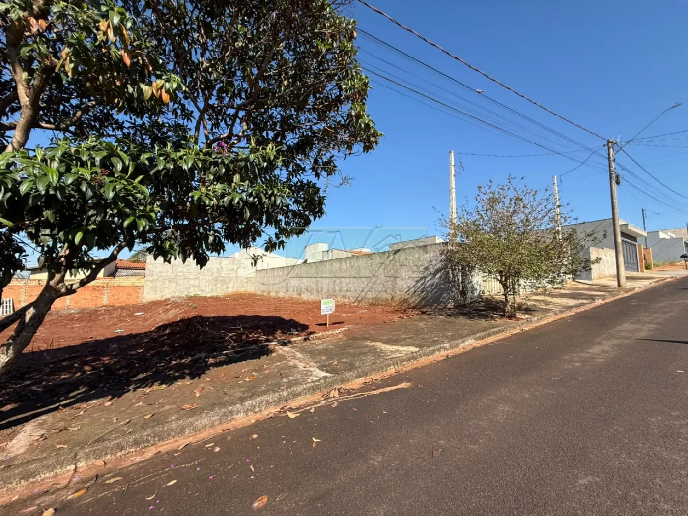 Comprar Terrenos / Lote em Santa Cruz do Rio Pardo R$ 130.000,00 - Foto 5