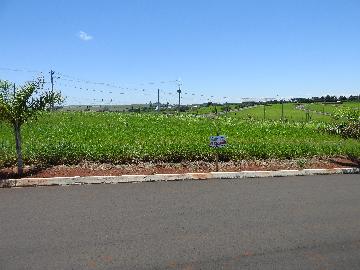 Santa Cruz do Rio Pardo Jardim Mirian Terreno Venda R$125.000,00  Area do terreno 250.00m2 