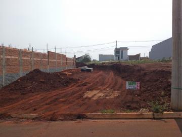 Santa Cruz do Rio Pardo Jardim Nova Brauna II Terreno Venda R$140.000,00  Area do terreno 250.00m2 