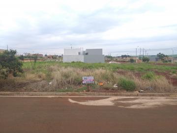 Santa Cruz do Rio Pardo Bosque Lorenzetti II Terreno Venda R$40.000,00  Area do terreno 250.00m2 