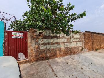 Santa Cruz do Rio Pardo Jardim Eleodoro Terreno Venda R$90.000,00  Area do terreno 226.30m2 