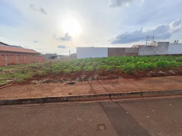 Santa Cruz do Rio Pardo Chacara Peixe Terreno Venda R$250.000,00  Area do terreno 300.00m2 