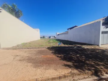 Santa Cruz do Rio Pardo Jardim Nova Brauna Terreno Venda R$220.000,00  Area do terreno 326.04m2 