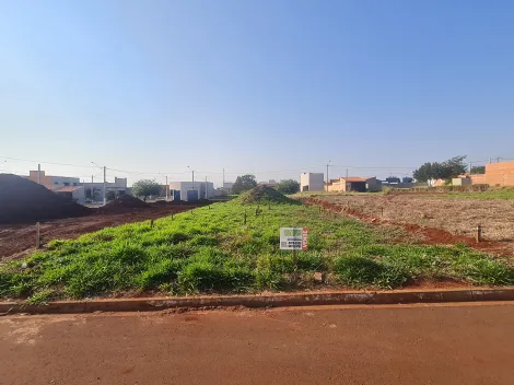 Santa Cruz do Rio Pardo Bosque Lorenzetti II Terreno Venda R$40.000,00  Area do terreno 249.30m2 