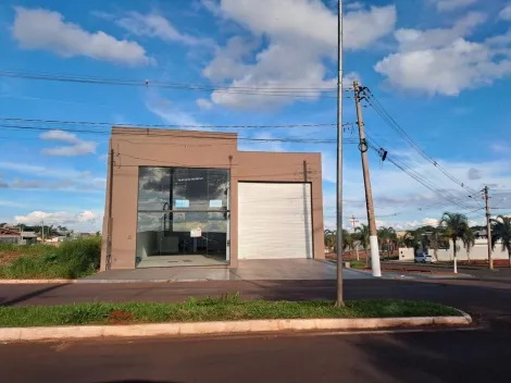 Santa Cruz do Rio Pardo Jardim Mirian Comercial Locacao R$ 5.500,00  Area do terreno 320.00m2 