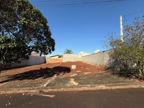 Santa Cruz do Rio Pardo Jardim Paulista Terreno Venda R$130.000,00  Area do terreno 250.00m2 