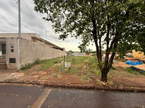 Santa Cruz do Rio Pardo Centro Terreno Venda R$360.000,00  Area do terreno 439.00m2 