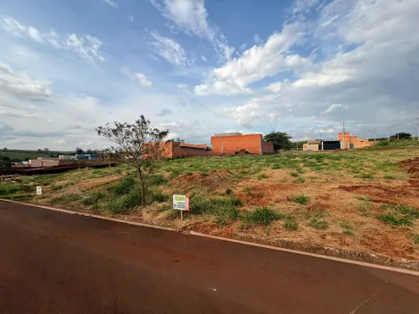 Santa Cruz do Rio Pardo Jardim America Terreno Venda R$300.000,00  Area do terreno 750.00m2 