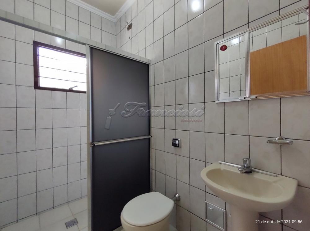 Alugar Casa / Padr&atilde;o em Itapetininga R$ 1.200,00 - Foto 3