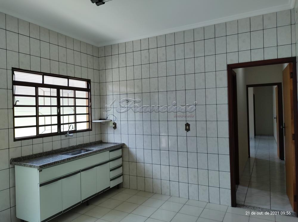 Alugar Casa / Padr&atilde;o em Itapetininga R$ 1.200,00 - Foto 4