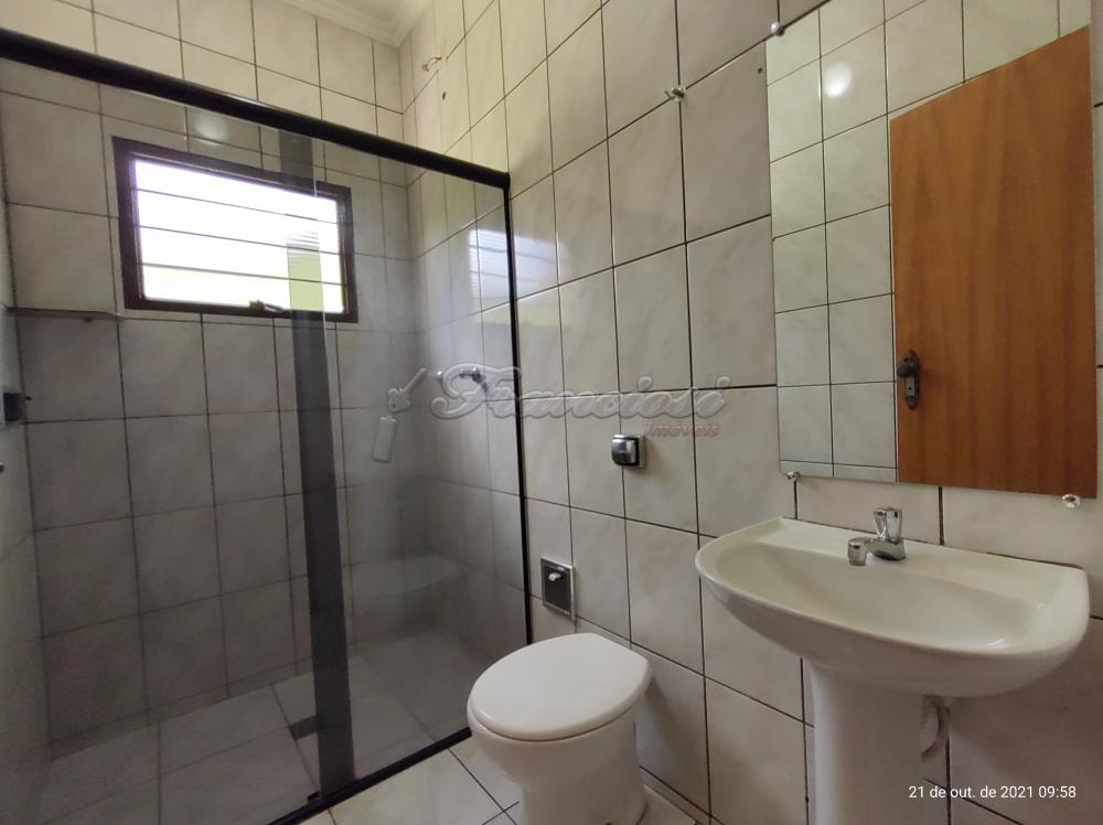 Alugar Casa / Padr&atilde;o em Itapetininga R$ 1.200,00 - Foto 8