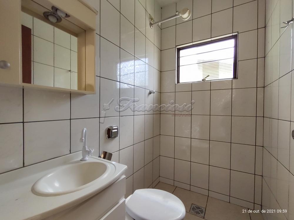 Alugar Casa / Padr&atilde;o em Itapetininga R$ 1.200,00 - Foto 10
