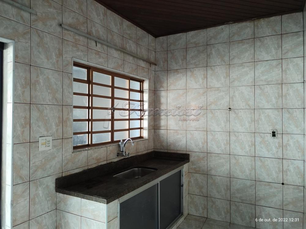 Alugar Casa / Padr&atilde;o em Itapetininga R$ 1.200,00 - Foto 9