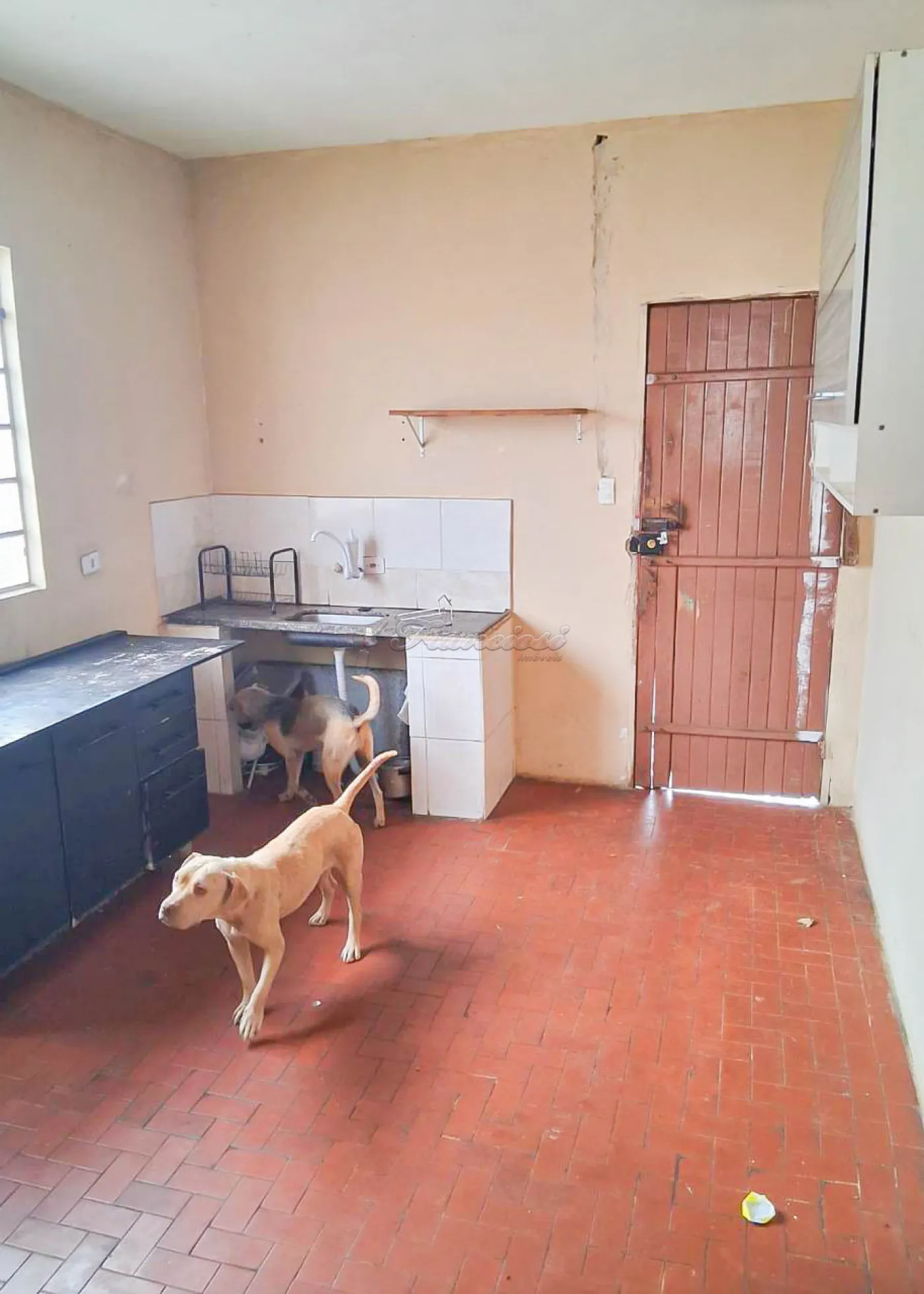 Comprar Casa / Padr&atilde;o em Itapetininga R$ 400.000,00 - Foto 2