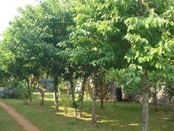Itapetininga Vila Barth Casa Venda R$1.070.000,00 2 Dormitorios 2 Vagas Area do terreno 510.00m2 Area construida 221.90m2