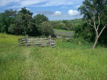 Itapetininga Bairro Morro do Alto Rural Venda R$1.100.000,00 6 Dormitorios 1 Vaga Area do terreno 84700.00m2 Area construida 250.00m2
