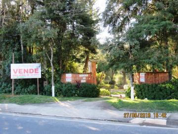 Itapetininga Jardim Cruzeiro do Sul Area Venda R$3.300.000,00 4 Dormitorios 5 Vagas Area do terreno 22900.00m2 Area construida 537.00m2