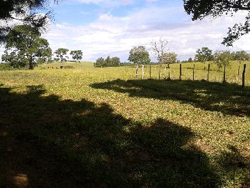 Itapetininga Bairro Canta Galo Rural Venda R$3.400.000,00 4 Dormitorios  Area do terreno 411400.00m2 Area construida 200.00m2
