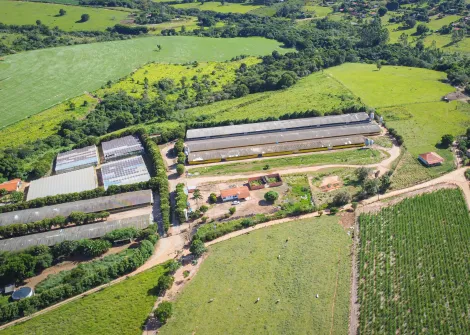 Itapetininga Vatinga Rural Venda R$3.000.000,00  Area do terreno 71000.00m2 Area construida 150.00m2