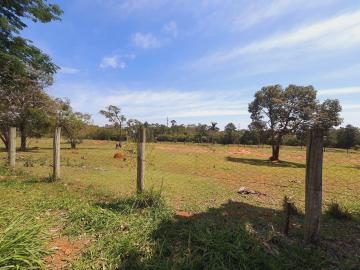 Itapetininga Jardim Colombo Terreno Venda R$330.000,00  Area do terreno 560.00m2 