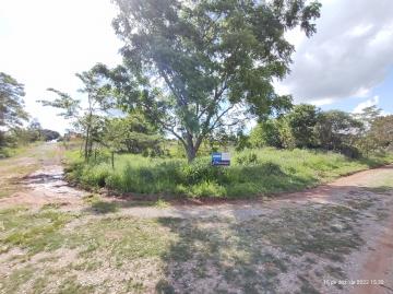 Itapetininga Estancia Conceicao Terreno Venda R$800.000,00  Area do terreno 2035.00m2 