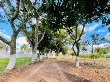 Itapetininga Vatinga Chacara Locacao R$ 3.500,00  Area do terreno 2907.79m2 
