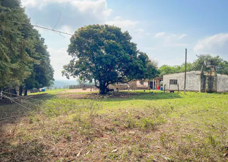 Itapetininga Vatinga Rural Venda R$900.000,00  Area do terreno 145200.00m2 