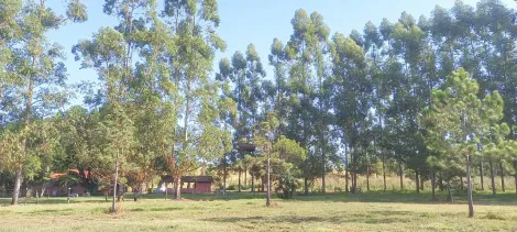 Itapetininga Centro (Conceicao) Rural Venda R$2.500.000,00  Area do terreno 242000.00m2 Area construida 650.00m2