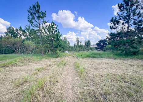Itapetininga Quaresma Area Venda R$3.200.000,00  Area do terreno 71180.44m2 