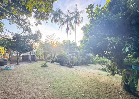 Itapetininga Jardim Fogaca Terreno Venda R$350.000,00  Area do terreno 590.00m2 Area construida 50.00m2