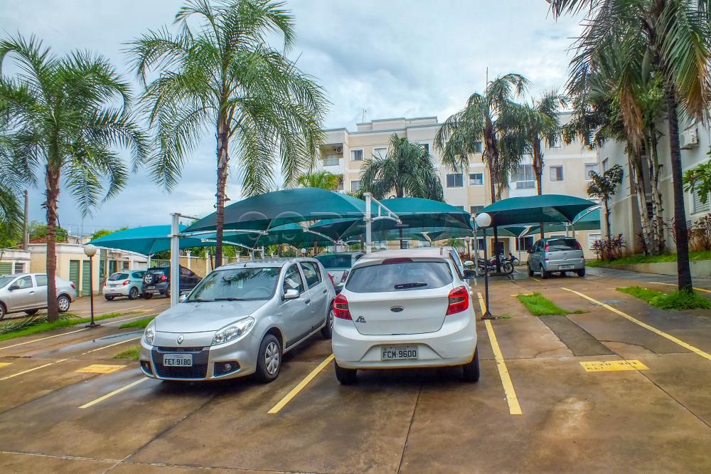 Alugar Apartamento / Padr&atilde;o em Ara&ccedil;atuba R$ 850,00 - Foto 1