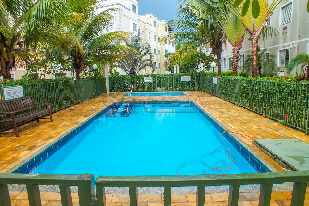 Alugar Apartamento / Padr&atilde;o em Ara&ccedil;atuba R$ 850,00 - Foto 4