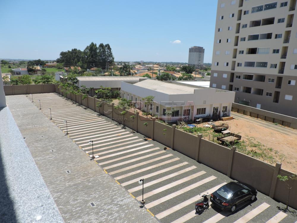 Alugar Apartamento / Padr&atilde;o em Ara&ccedil;atuba R$ 1.800,00 - Foto 19