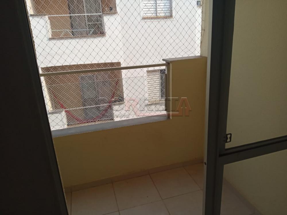 Alugar Apartamento / Padr&atilde;o em Ara&ccedil;atuba R$ 589,27 - Foto 4