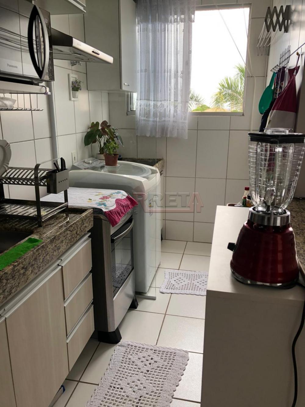 Alugar Apartamento / Padr&atilde;o em Ara&ccedil;atuba R$ 1.500,00 - Foto 4